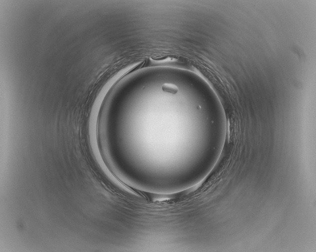 X0000116300750200911301441