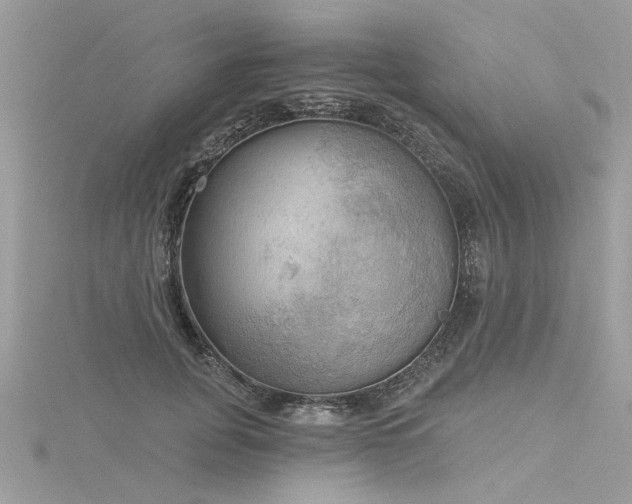 X0000116300751200911301441