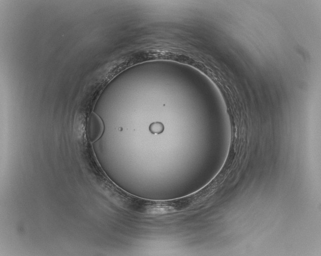 X0000116300754200911301441