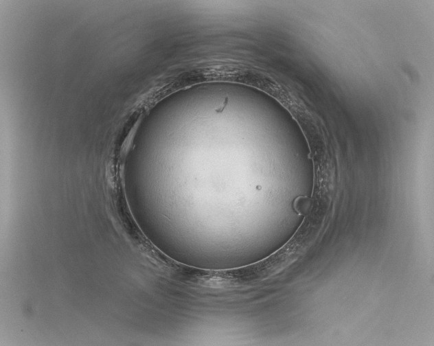 X0000116300755200911301441