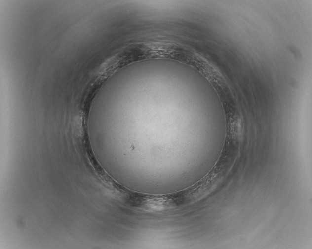 X0000116300757200911301441