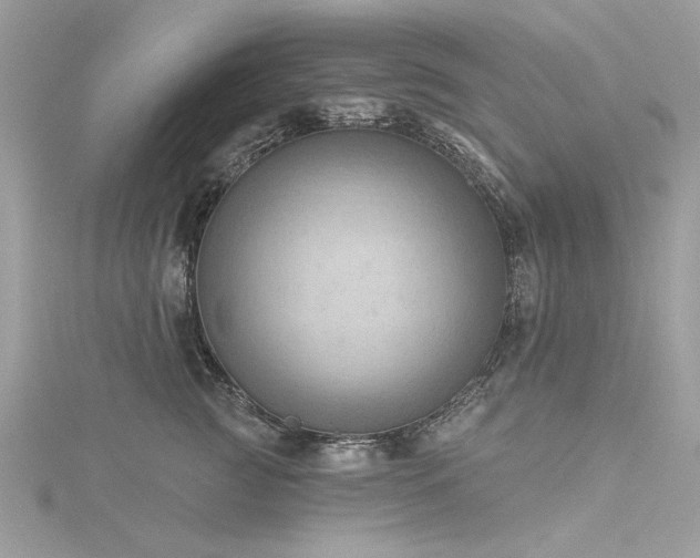 X0000116300761200911301441