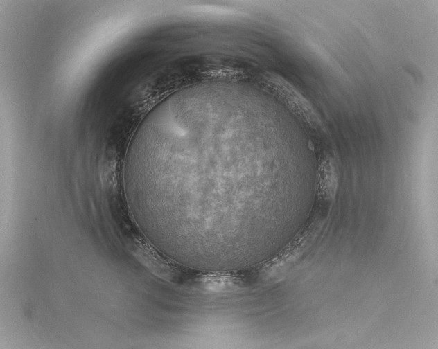 X0000116300762200911301441