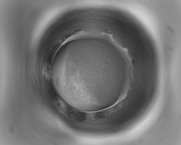 X0000116300766200911301442