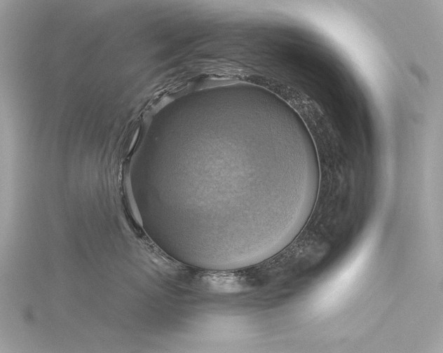 X0000116300767200911301442