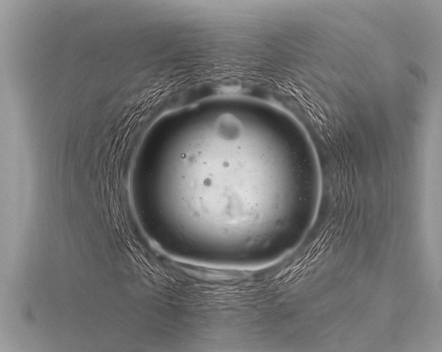 X0000116300769200911301441