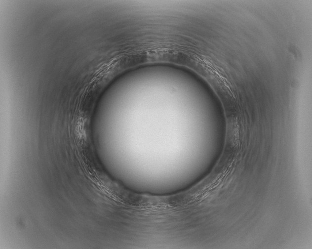 X0000116300770200911301441