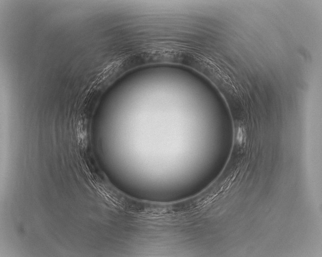 X0000116300771200911301441