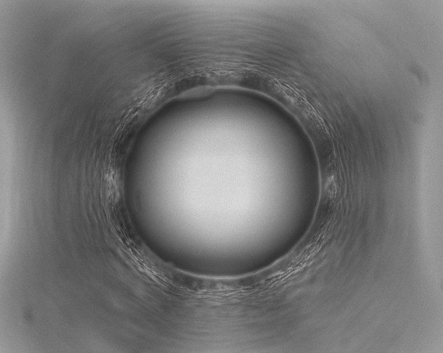 X0000116300772200911301441