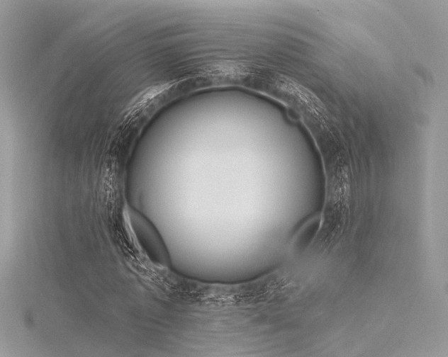 X0000116300773200911301441