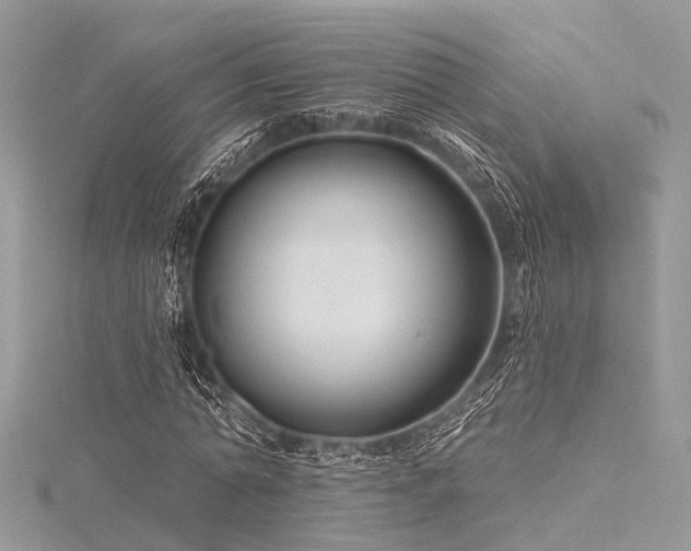 X0000116300774200911301441