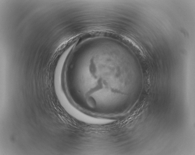 X0000116300775200911301441