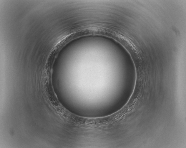 X0000116300776200911301441