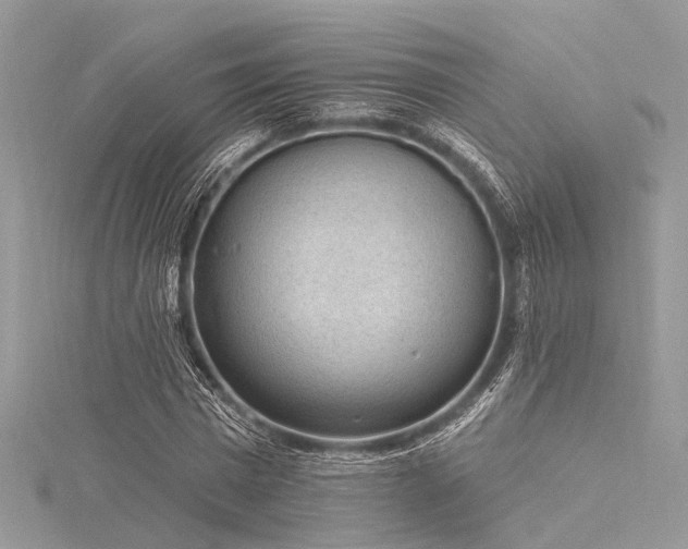 X0000116300777200911301441