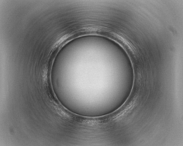 X0000116300778200911301441