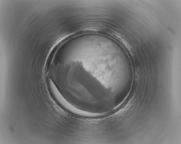 X0000116300779200911301441