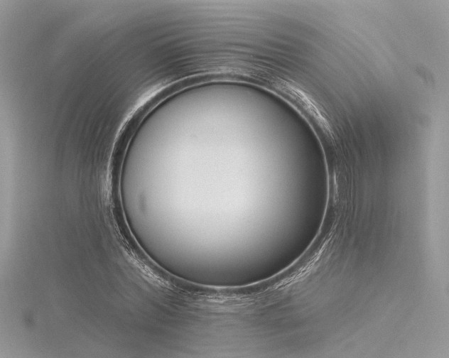 X0000116300780200911301441