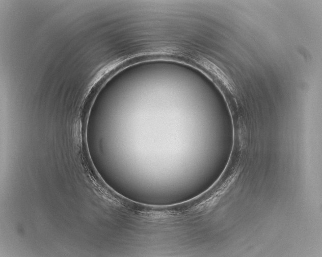 X0000116300781200911301441