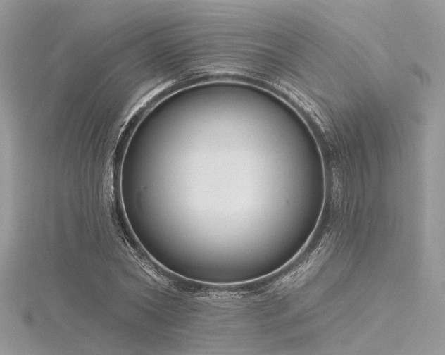 X0000116300782200911301441