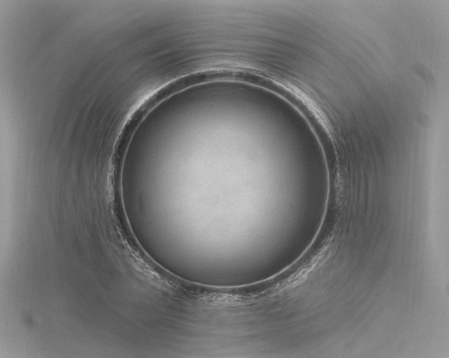 X0000116300783200911301441