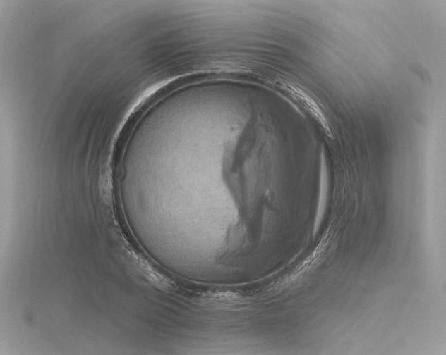 X0000116300784200911301441