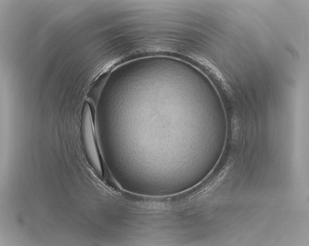 X0000116300785200911301441