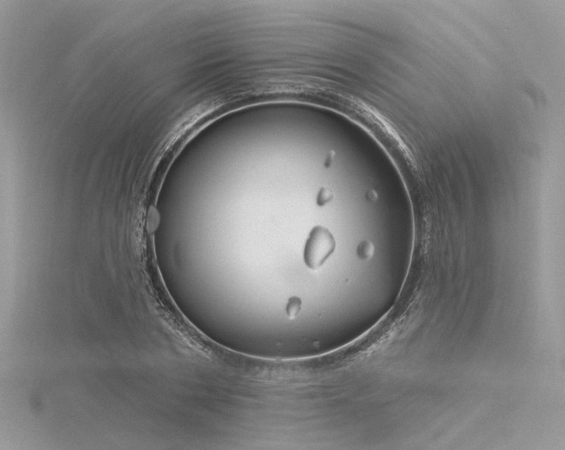 X0000116300786200911301441