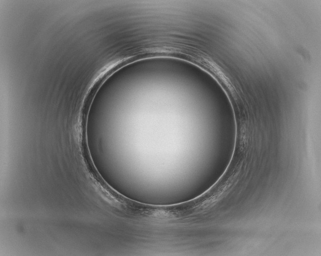 X0000116300787200911301441