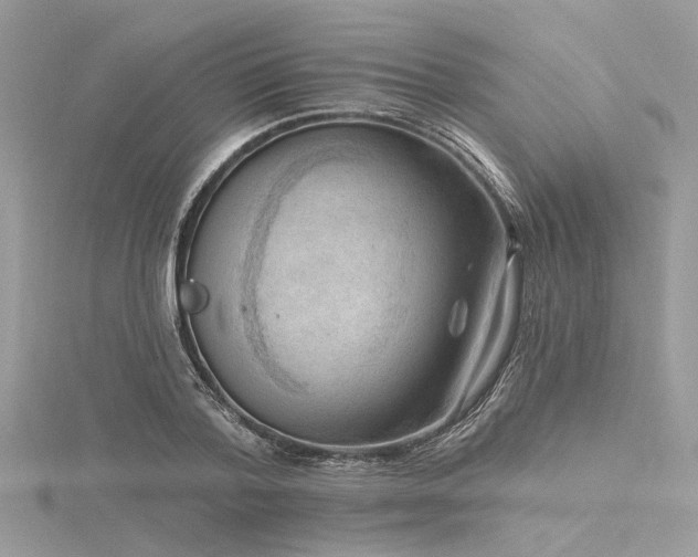 X0000116300788200911301441