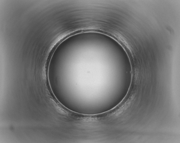 X0000116300789200911301441