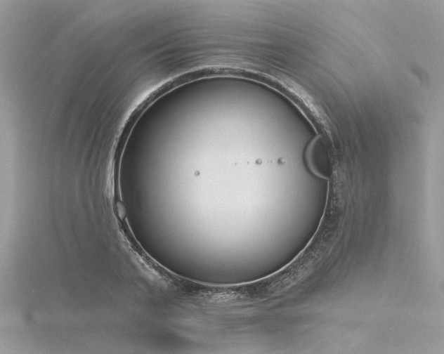 X0000116300791200911301441