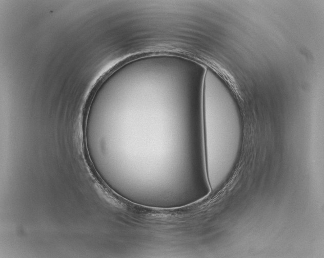 X0000116300792200911301441