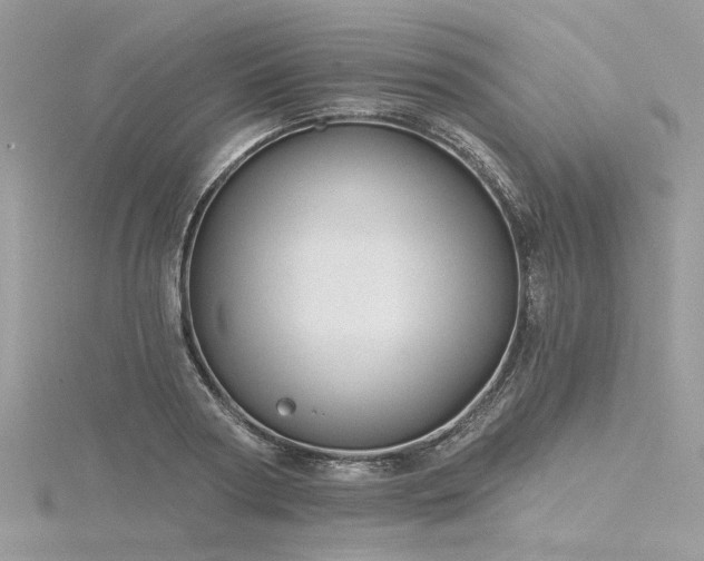 X0000116300794200911301441