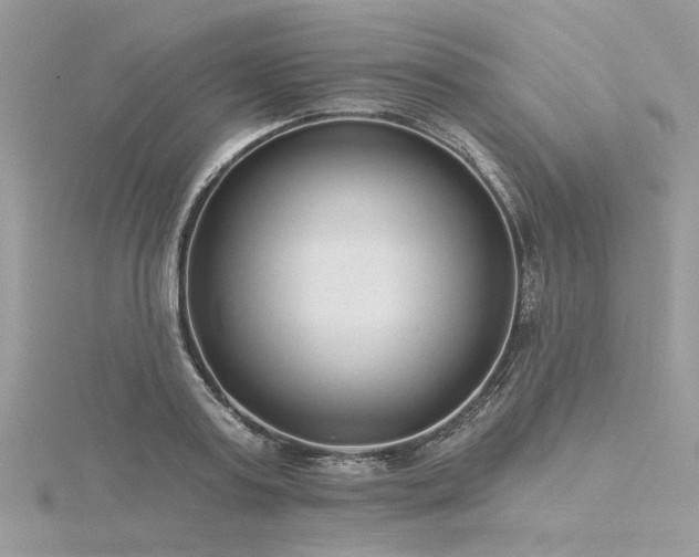 X0000116300795200911301441