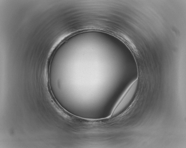 X0000116300796200911301441