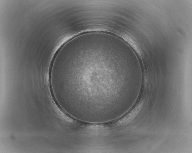 X0000116300797200911301441