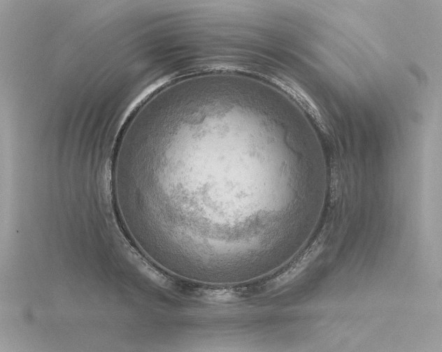 X0000116300798200911301441