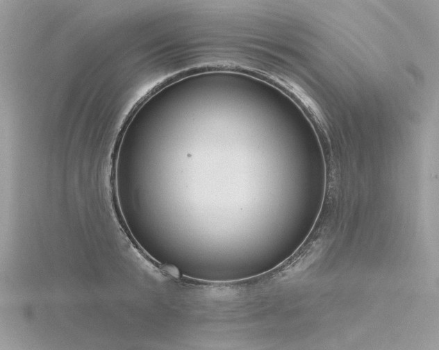 X0000116300799200911301441