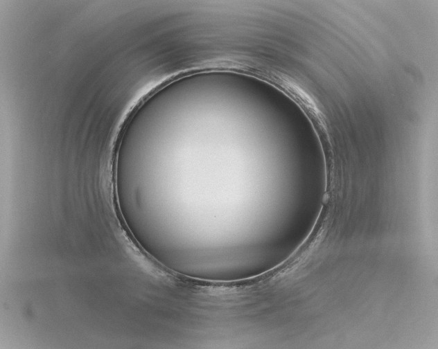 X0000116300800200911301441