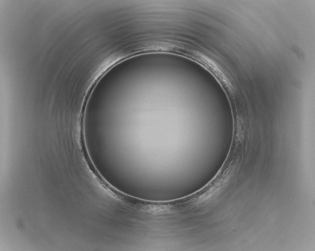 X0000116300802200911301441