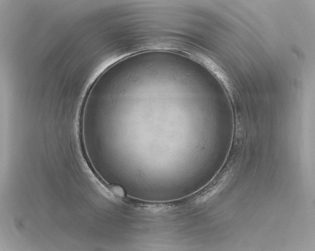 X0000116300803200911301441