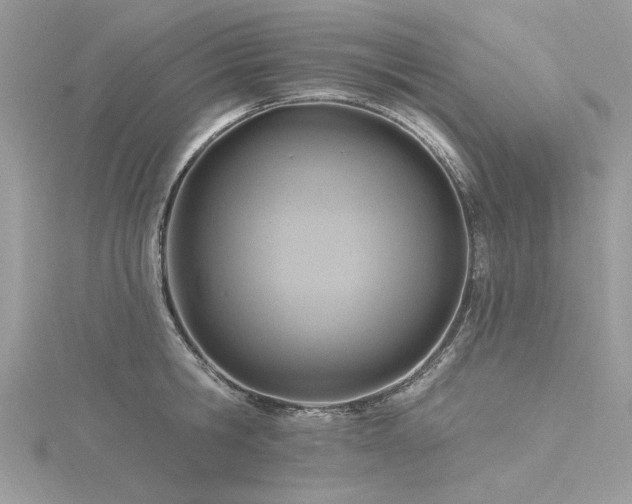X0000116300806200911301440
