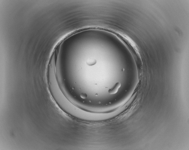 X0000116300807200911301440