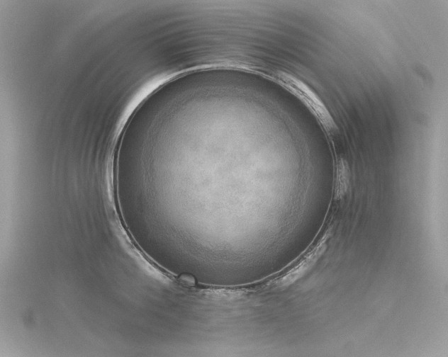 X0000116300812200911301440