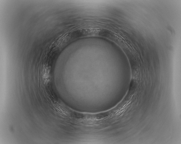 X0000116300818200911301440