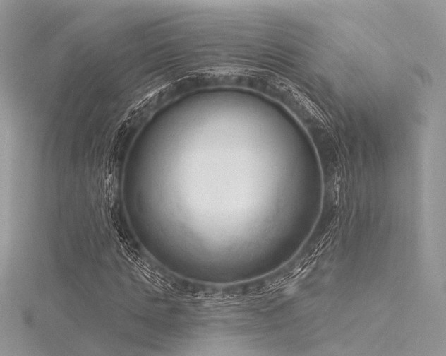 X0000116300821200911301440
