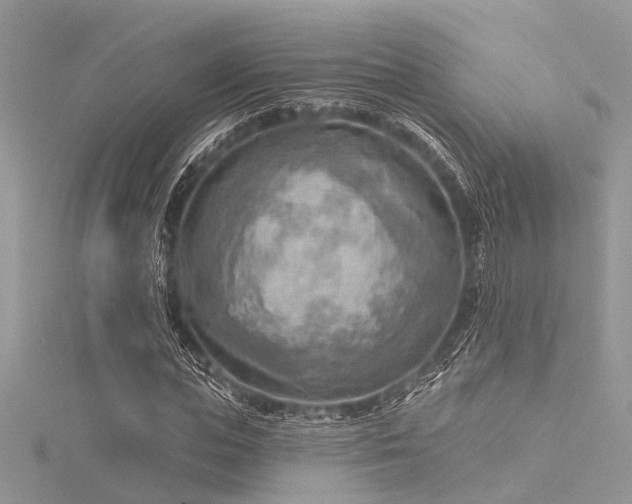 X0000116300823200911301440