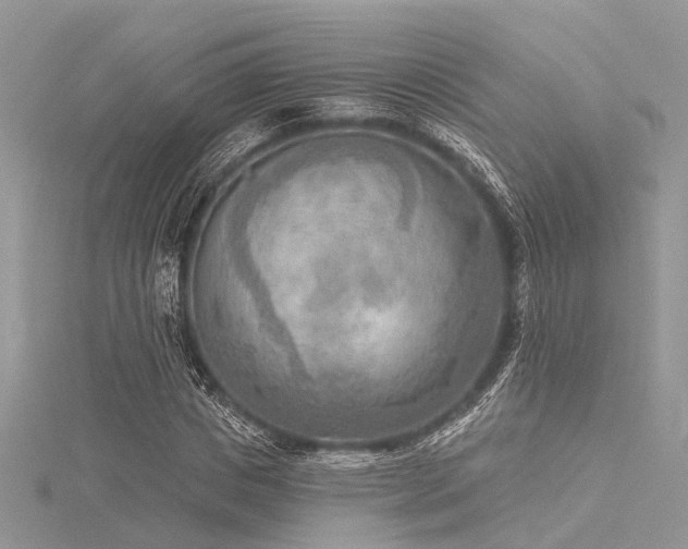 X0000116300825200911301440