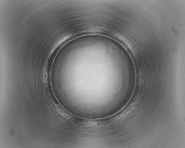 X0000116300827200911301440