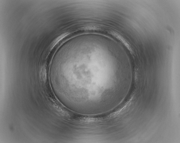 X0000116300829200911301440